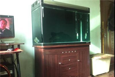 出售博宇牌水族箱-撫順望花區其他小寵