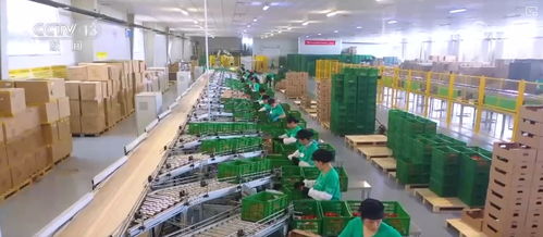 100億 10億 8.7萬億 鄉村特色產業領域拓寬 發展韌性強