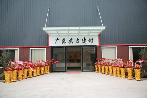 廣東供應環保型3mm樹脂瓦塑鋼瓦仿古瓦 質量保證 塑料建材廠家